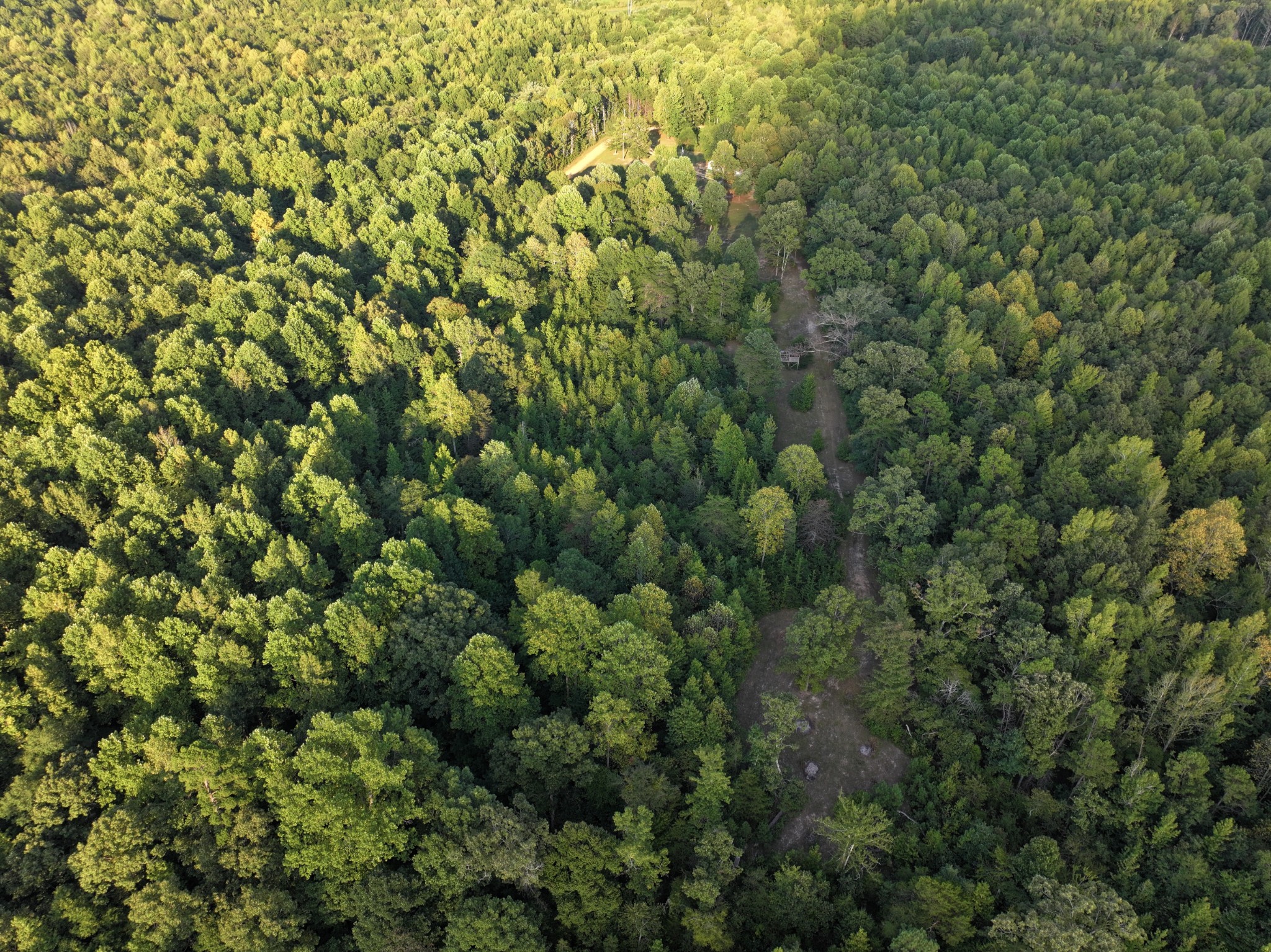 505 Winding Way Saltillo, TN 38370 - Photo 11 of 20