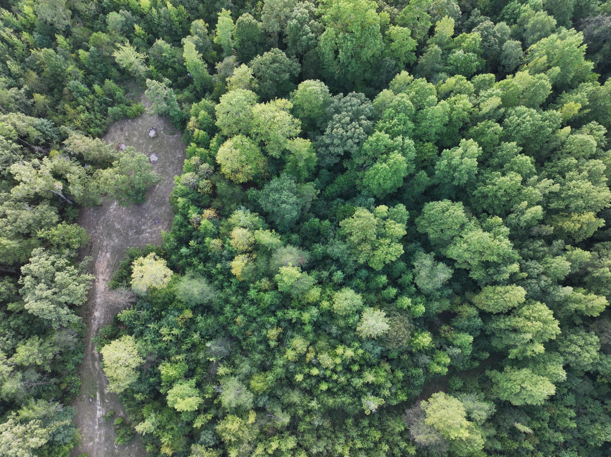 505 Winding Way Saltillo, TN 38370 - Photo 10 of 20