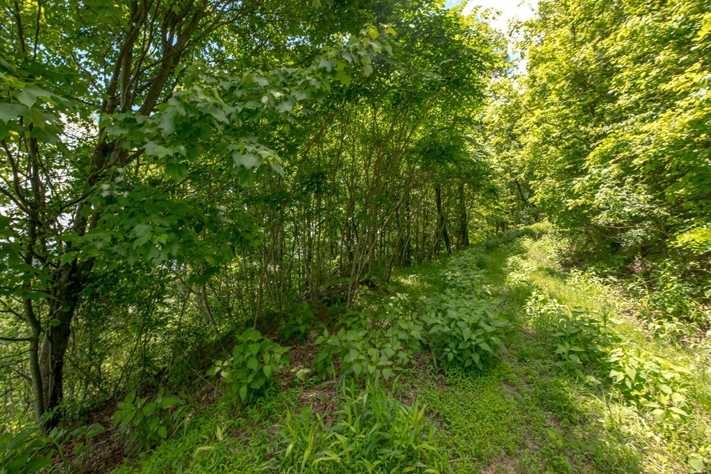 Cc Spring Pond Trail, Unit CC Fancy Gap, VA 24328 - Photo 17 of 46 Gallery Image 17