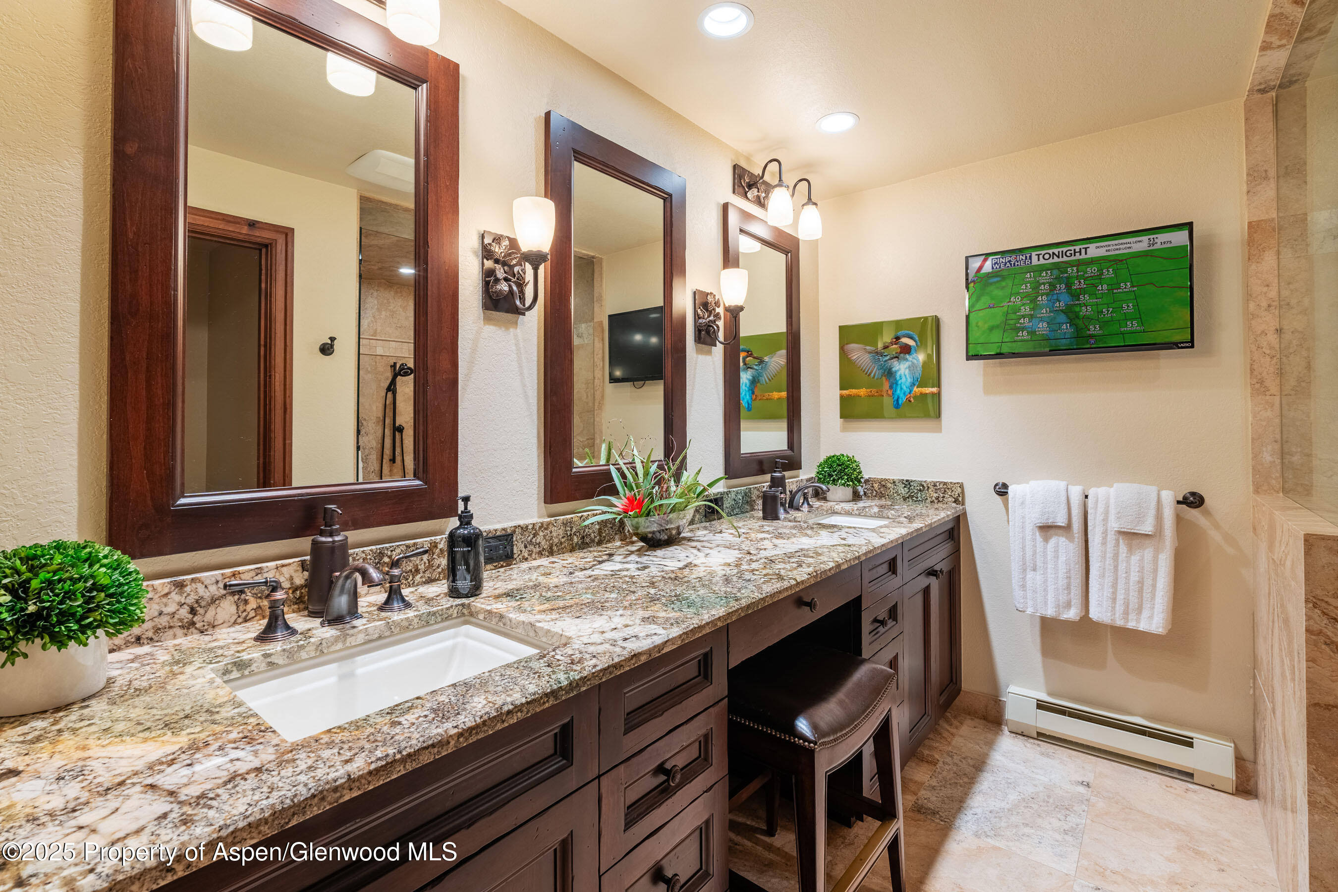 229 Faraway Road, Unit 28 Snowmass Village, CO 81615 - Photo 10 of 30 Primary Bath