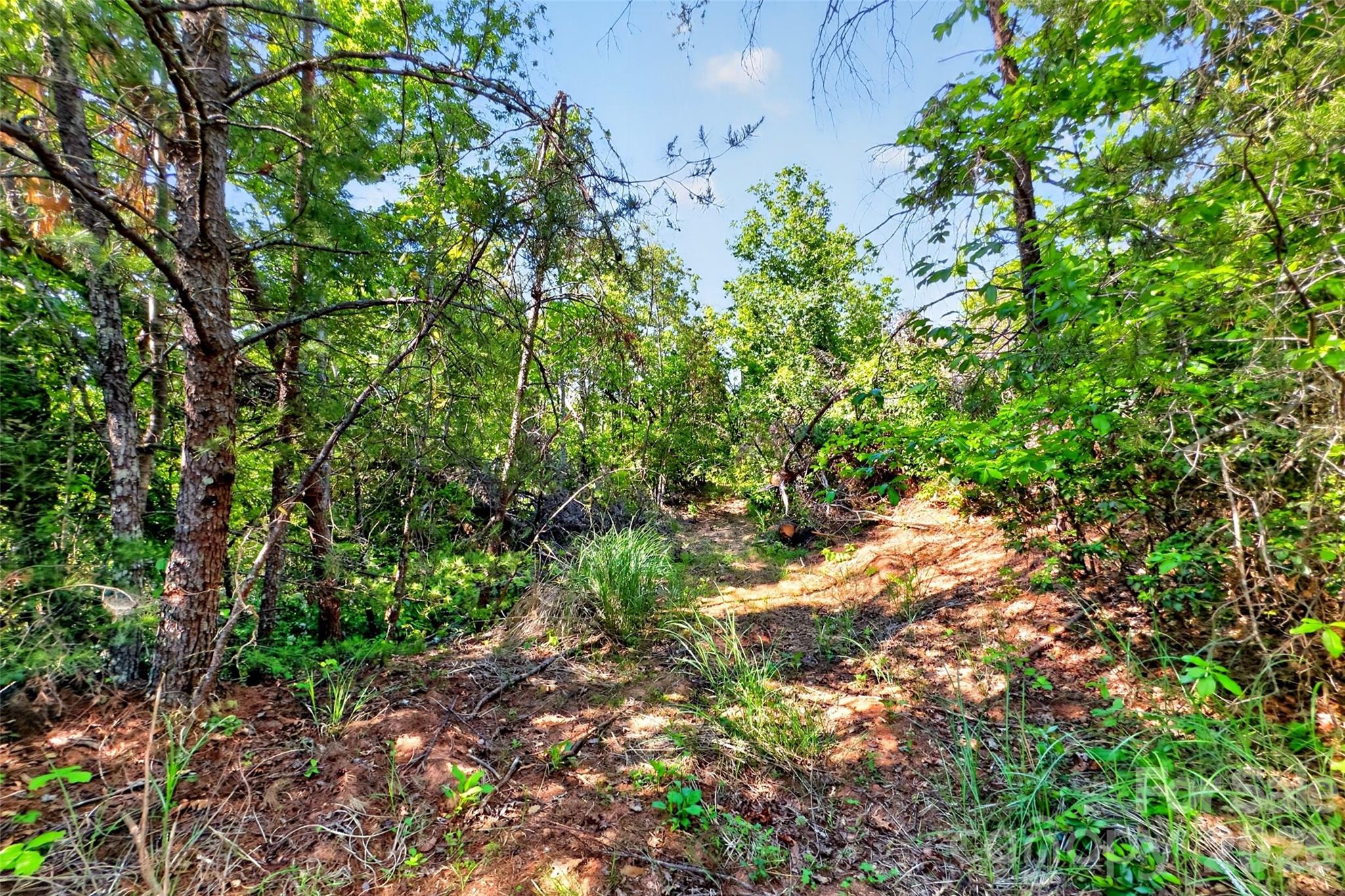 3361 Bethlehem Road Old Fort, NC 28762 - Photo 38 of 47