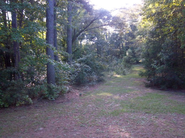 490 Barrett Street Harlem, GA 30814 - Photo 24 of 27 Back Yard View 4