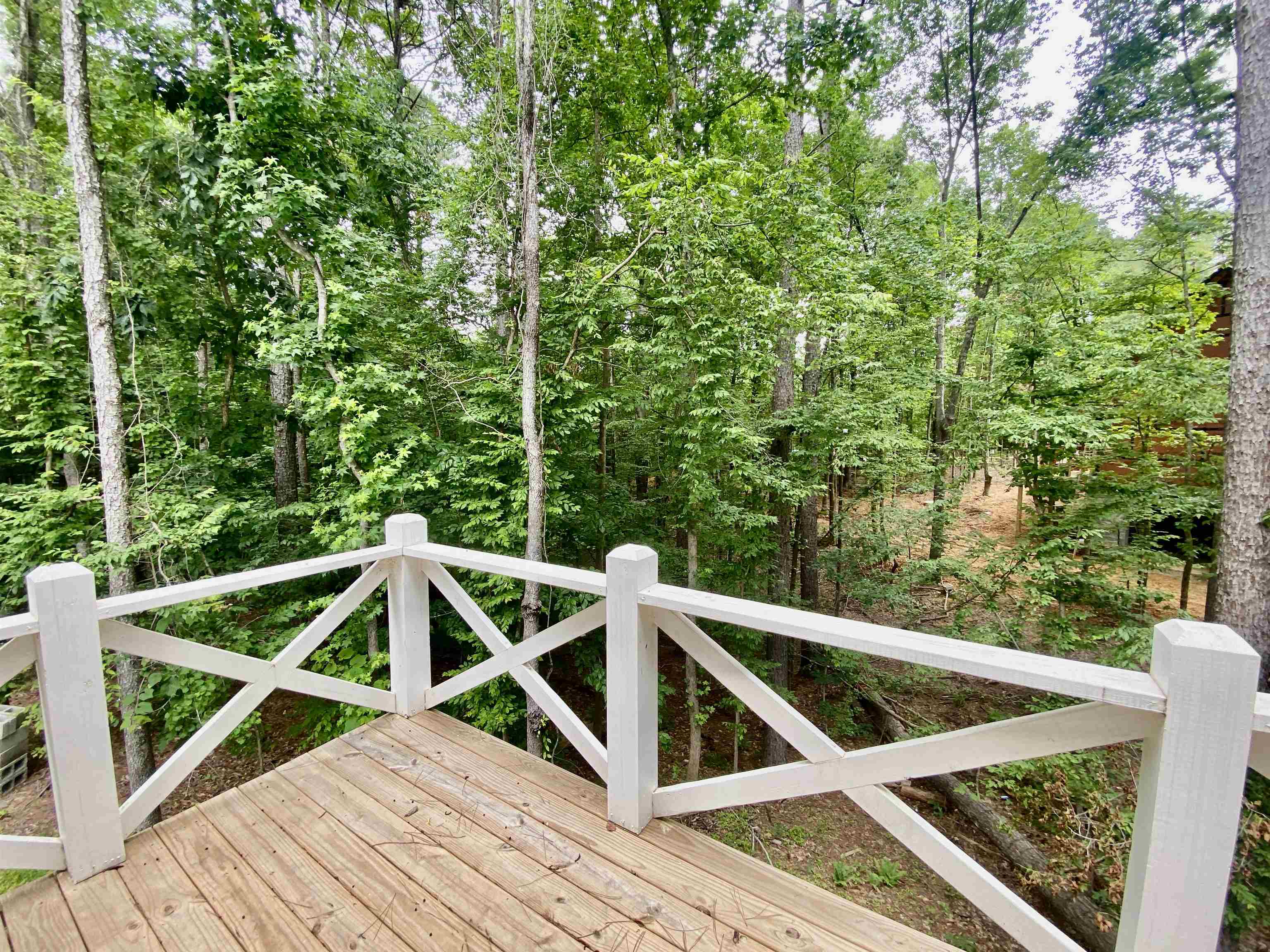 265 Rock Quarry Way Counce, TN 38326 - Photo 17 of 17 a view of outdoor space with deck
