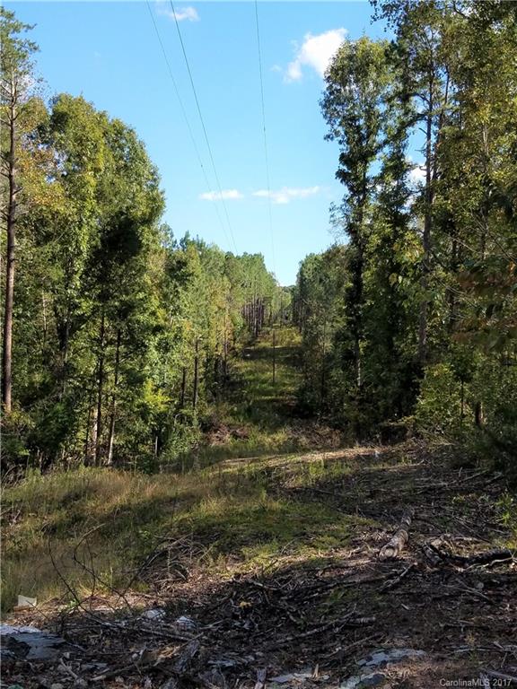 ?? Sherer Road Sharon, SC 29742 - Photo 9 of 13