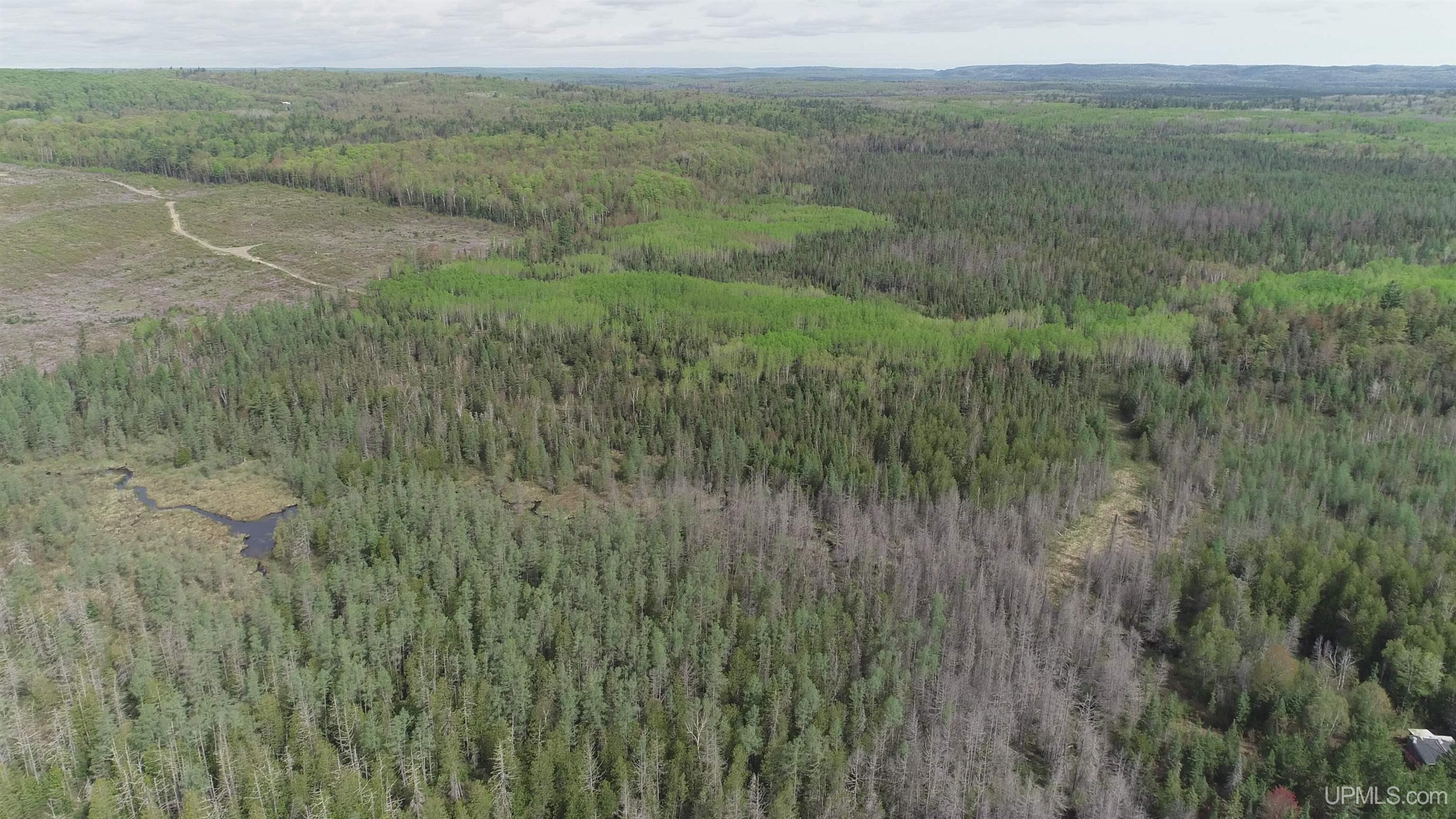 280-acres County Road CCN Road Negaunee, MI 49866 - Photo 24 of 48