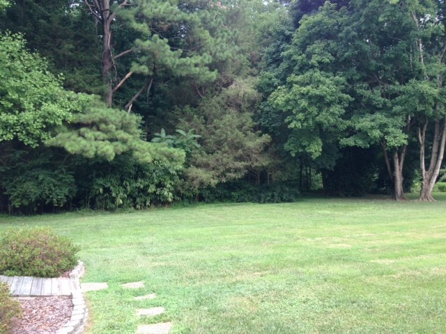 5824 Ridgeview Road Durham, NC 27712 - Photo 8 of 15 Back yard