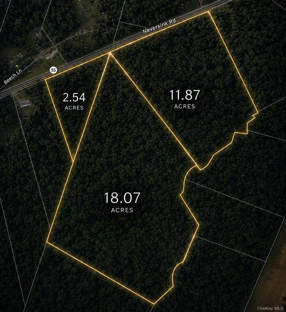 3 Neversink Road Liberty, NY 12754 - Photo 1 of 1
