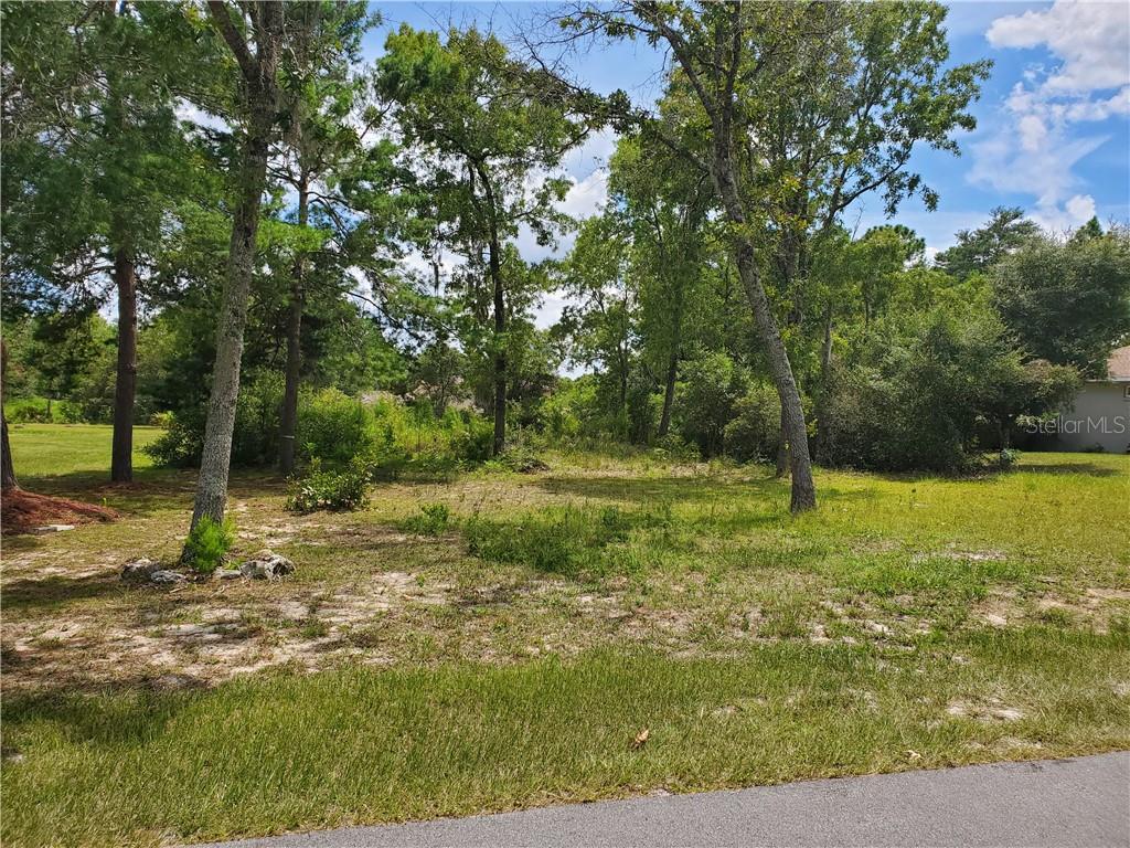 0 Southwest 109th Loop Ocala, FL 34476 - Photo 1 of 1 Gallery Image 1