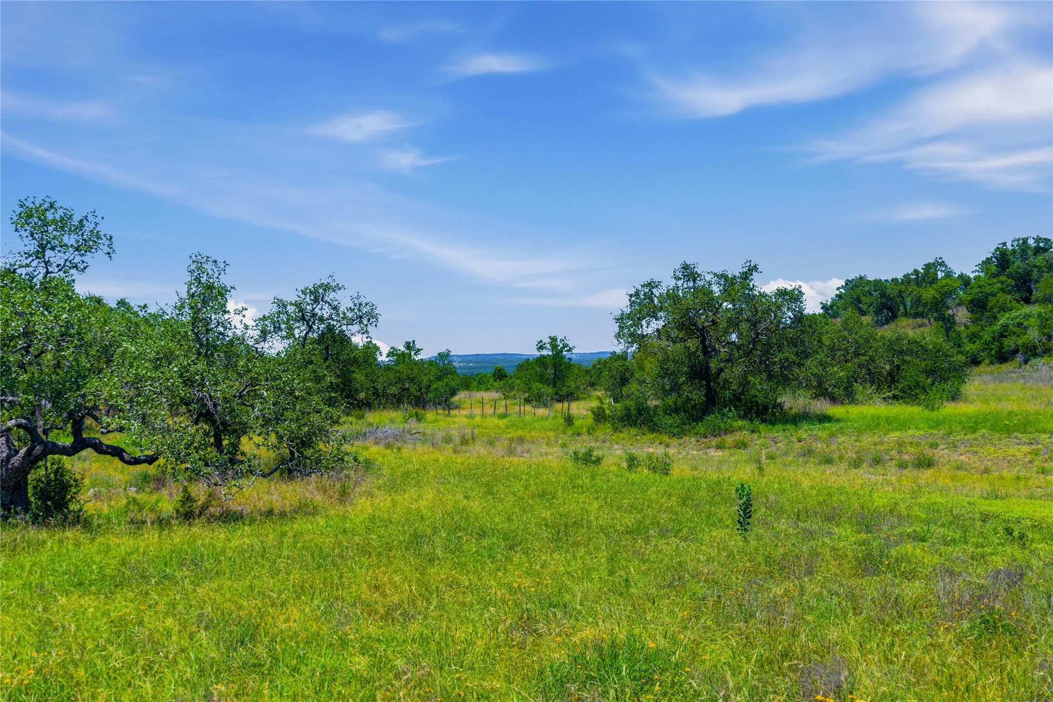 623 Whiskey Trail Blanco, TX 78606 - Photo 2 of 23 Welcome to the amazing view from your 6-acre lot at 623 Whiskey Trl