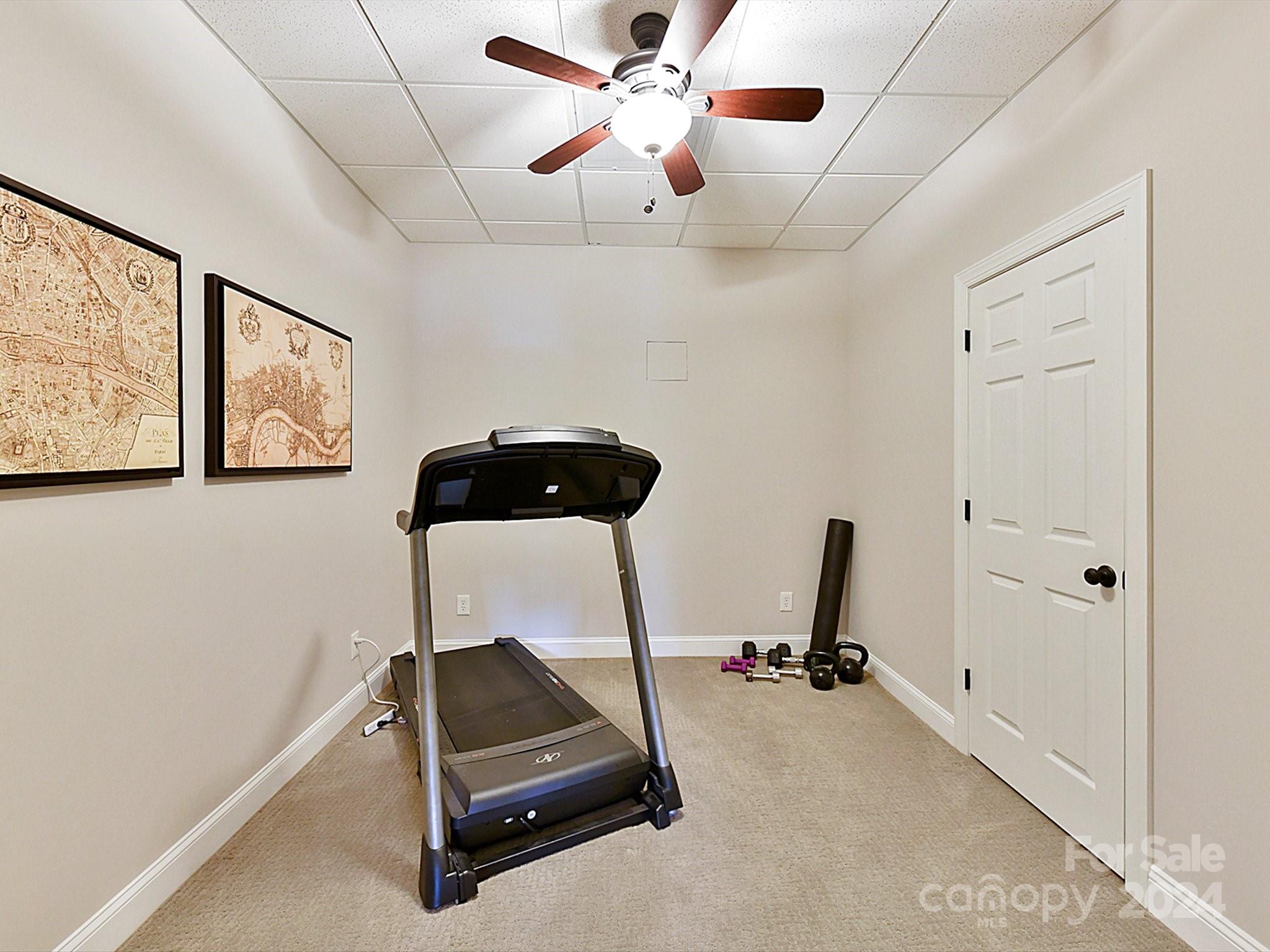146 Canterbury Crossing Fort Mill, SC 29708 - Photo 36 of 48 a room with gym equipment and a potted plant
