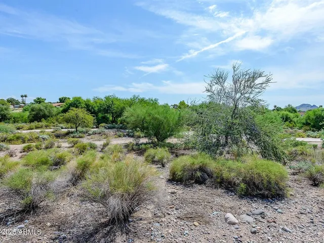a view of a field of grass and trees