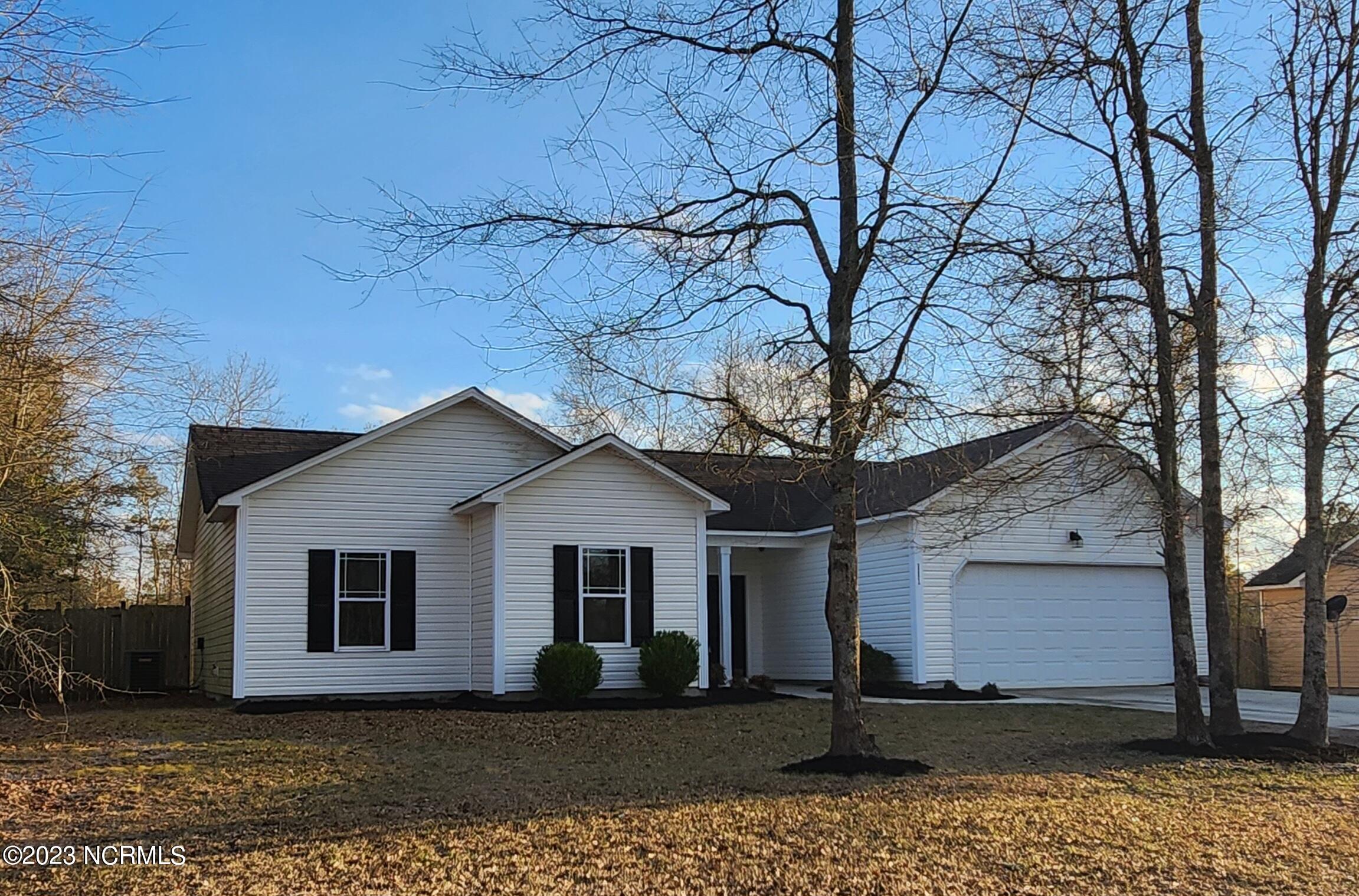 111 Blueberry Fields Road Maple Hill, NC 28454 - Photo 3 of 32 Left side view.