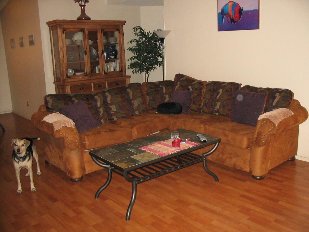 2903 East Amber Ridge Way Phoenix, AZ 85048 - Photo 4 of 4 Great Room
