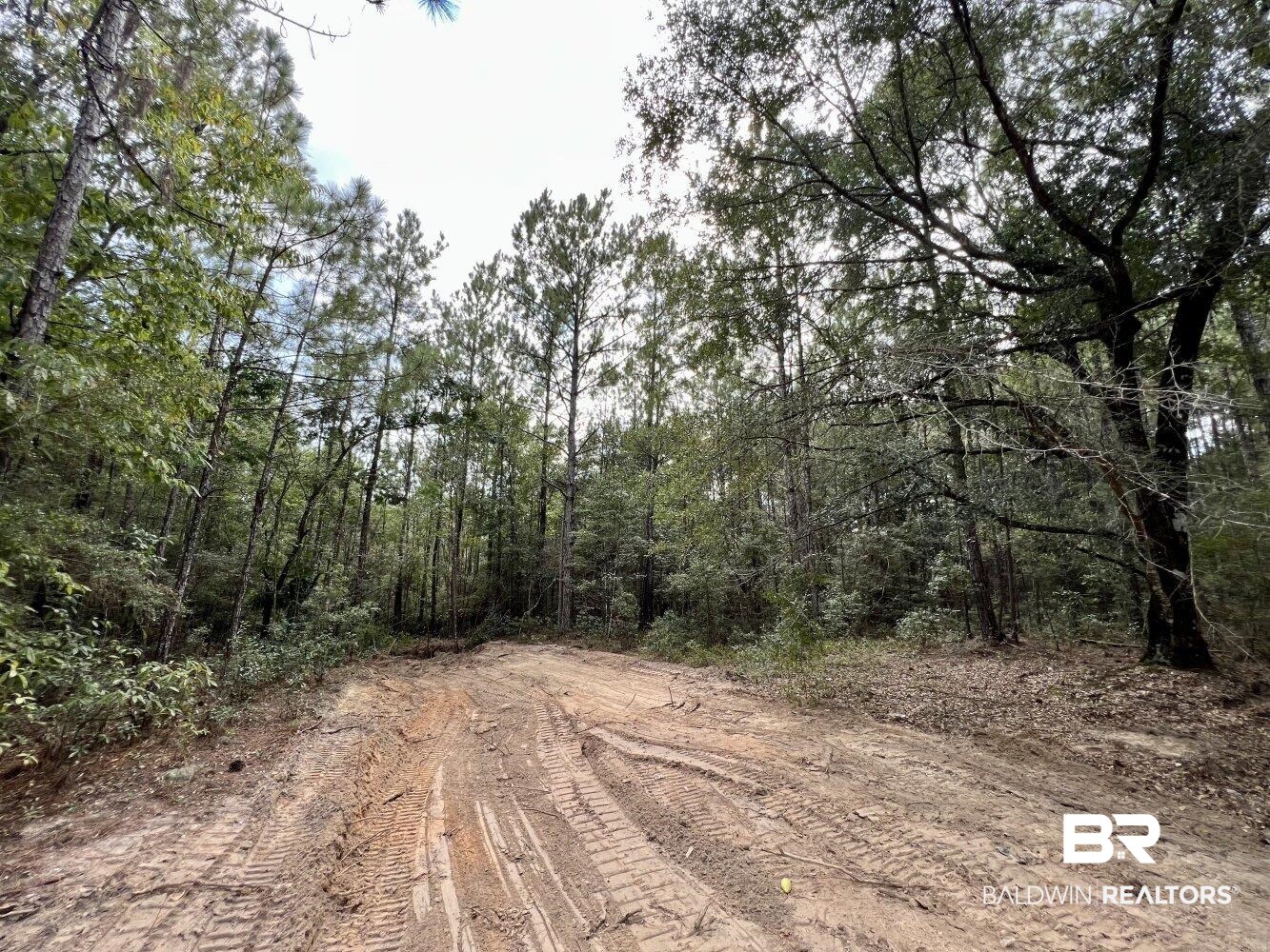 0 Bear Fork Road Mobile, AL 36618 - Photo 47 of 50
