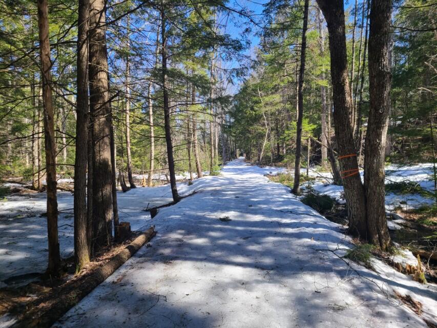 Lot #17 Mills Road Whitefield, ME 04353 - Photo 16 of 16 16 (Custom)