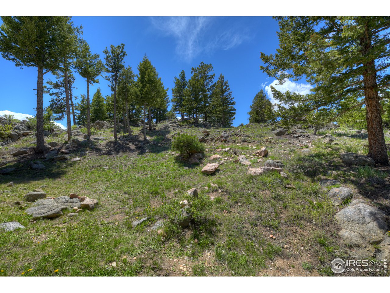 84 Canon View Road Boulder, CO 80302 - Photo 39 of 40