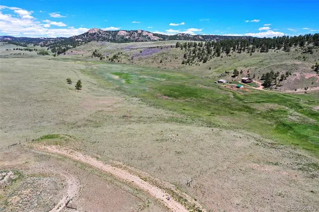 a view of a town with large trees