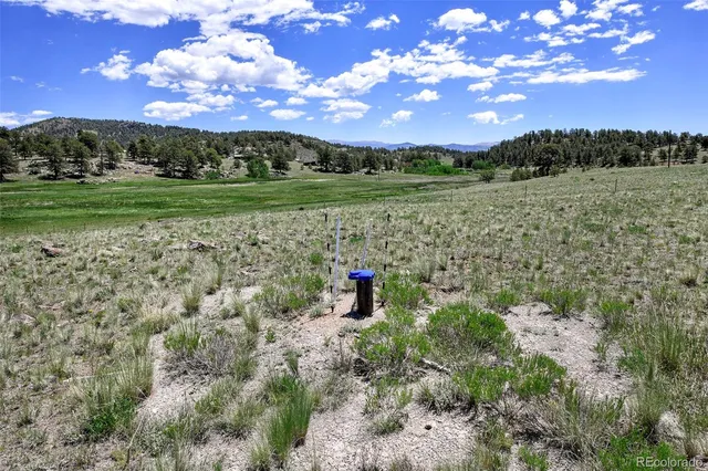 a view of a yard with a table chairs under an umbrella