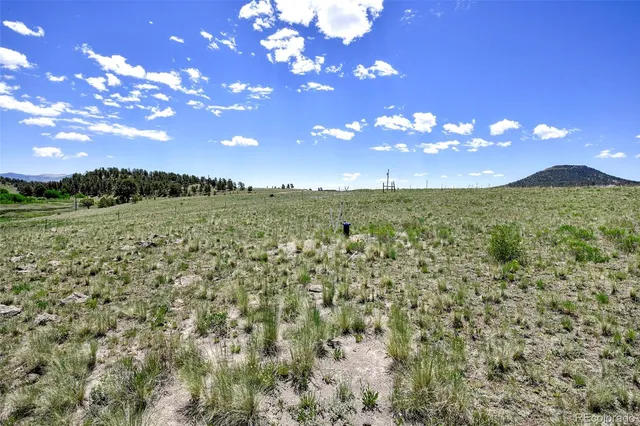 a view of a yard with an trees