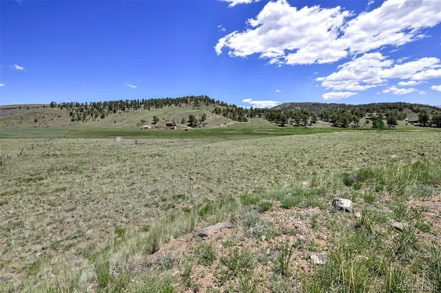 a view of a big yard with lots of green space