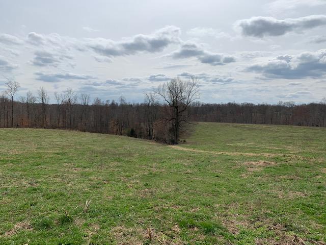 0 Frontage Road Russell Springs, KY 42642 - Photo 4 of 16 4