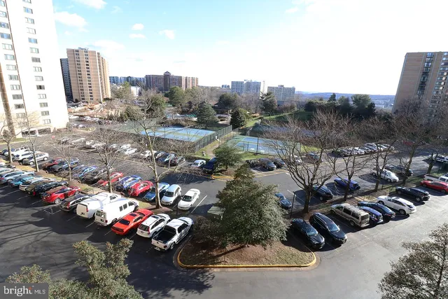 a view of a city with tall trees