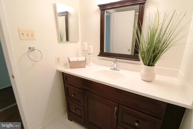 a bathroom with a sink a mirror and a potted plant
