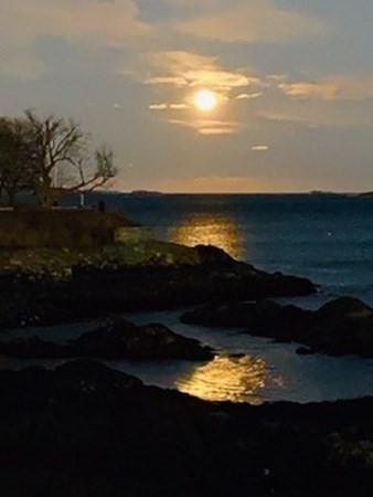 147 Front Street, Unit 6 Marblehead, MA 01945 - Photo 21 of 25 a view of a lake in middle of the sunset