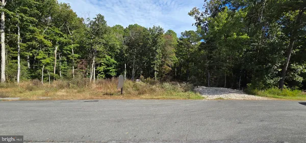 a view of plant yard