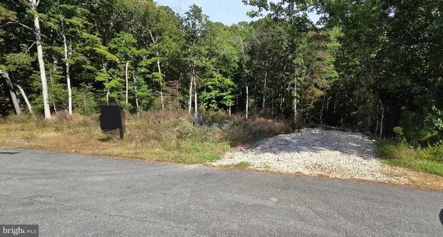 a view of a yard with potted plants and large trees