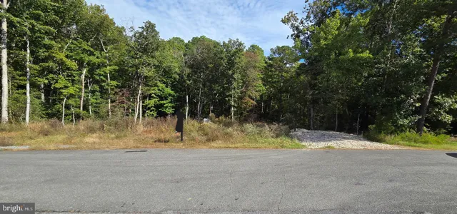 a view of plant yard