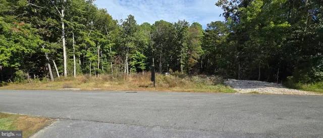 a view of dirt yard with a trees