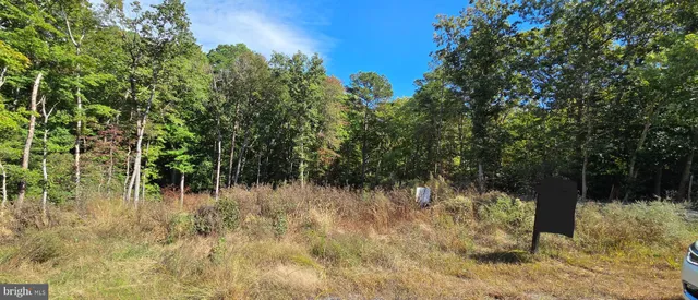 a view of a lake with a tree