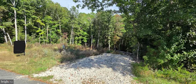 a view of outdoor space and garden