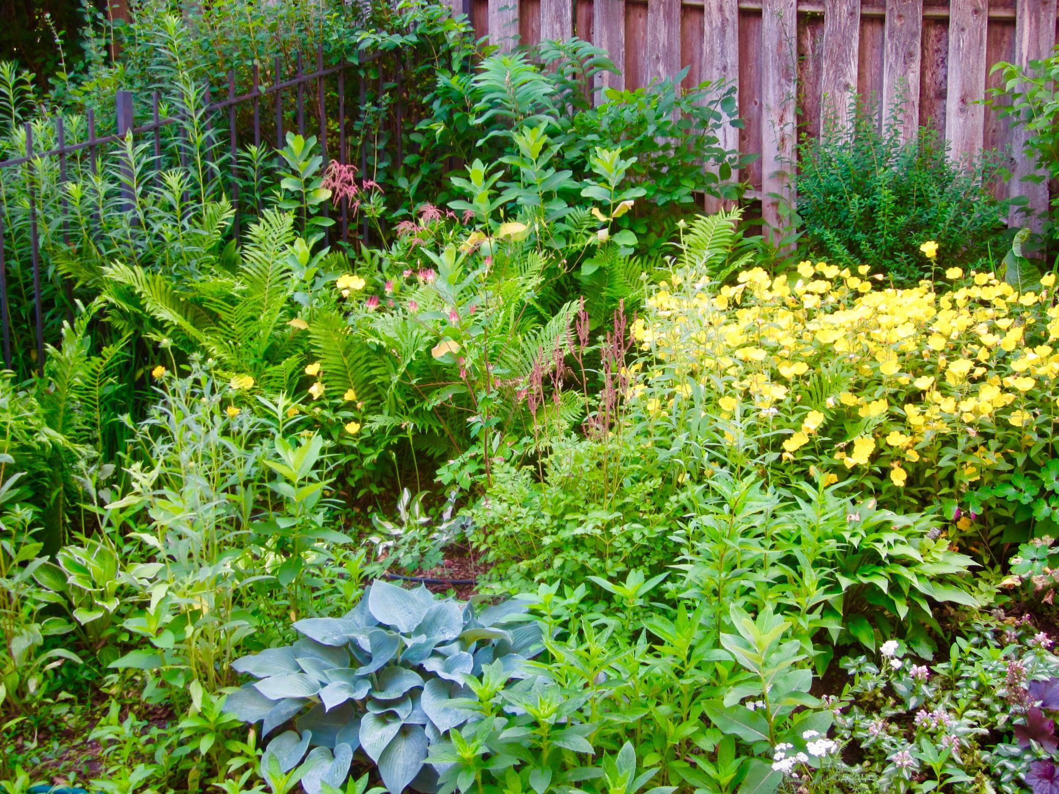 15657 Woodgate Road South Minnetonka, MN 55345 - Photo 33 of 34