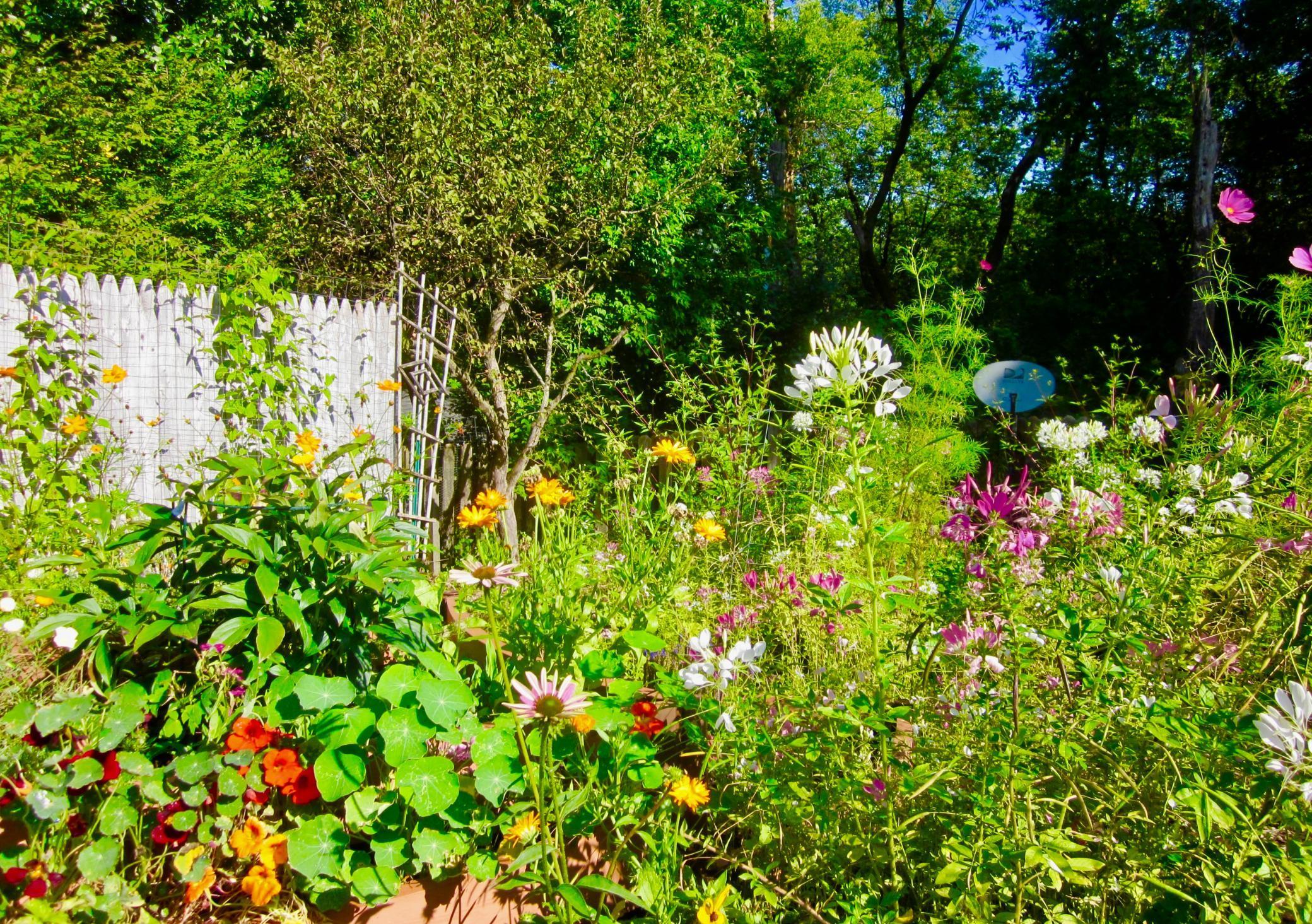 15657 Woodgate Road South Minnetonka, MN 55345 - Photo 34 of 34