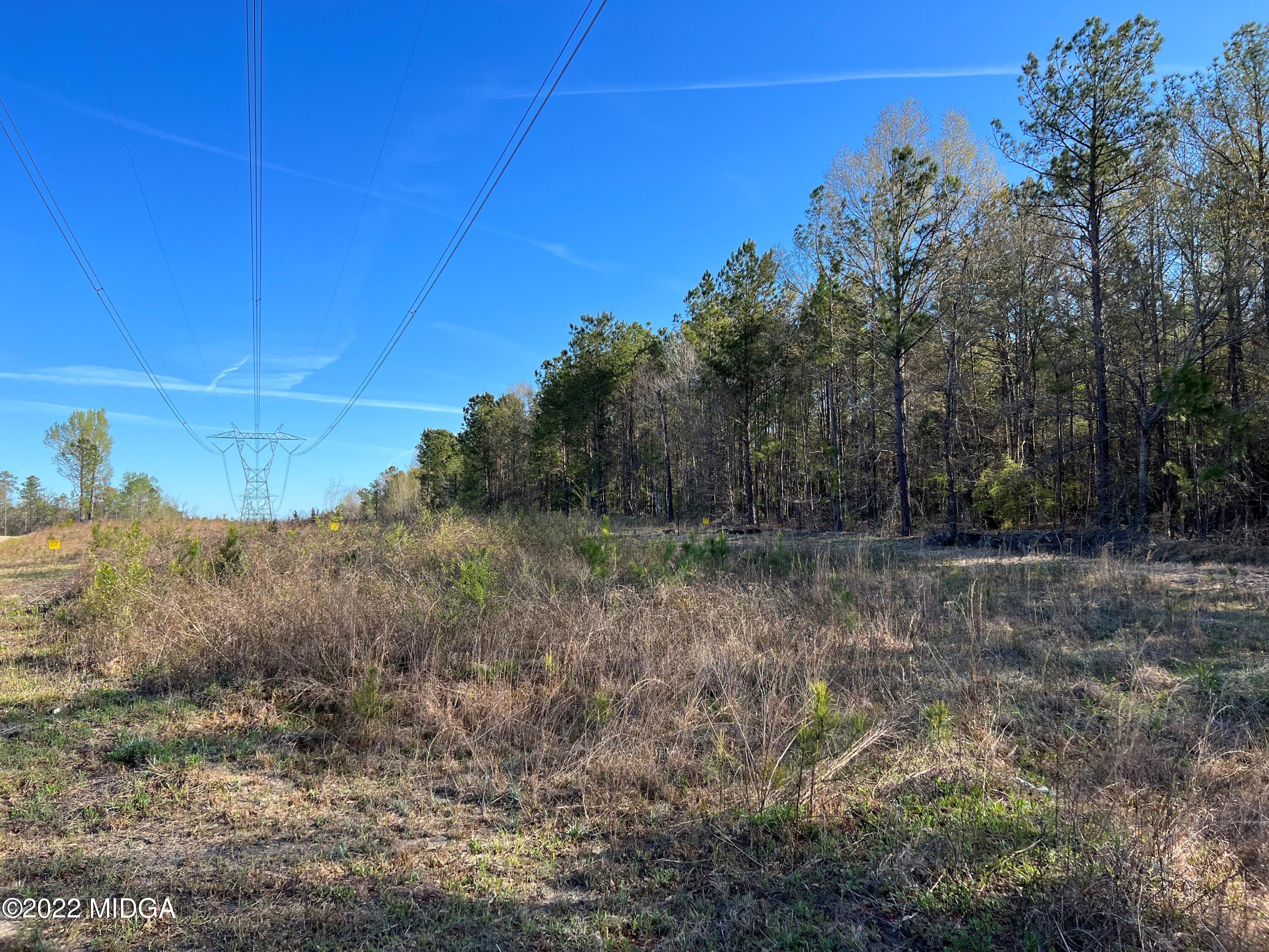 0 Ray Frost Road Lizella, GA 31052 - Photo 1 of 9 main