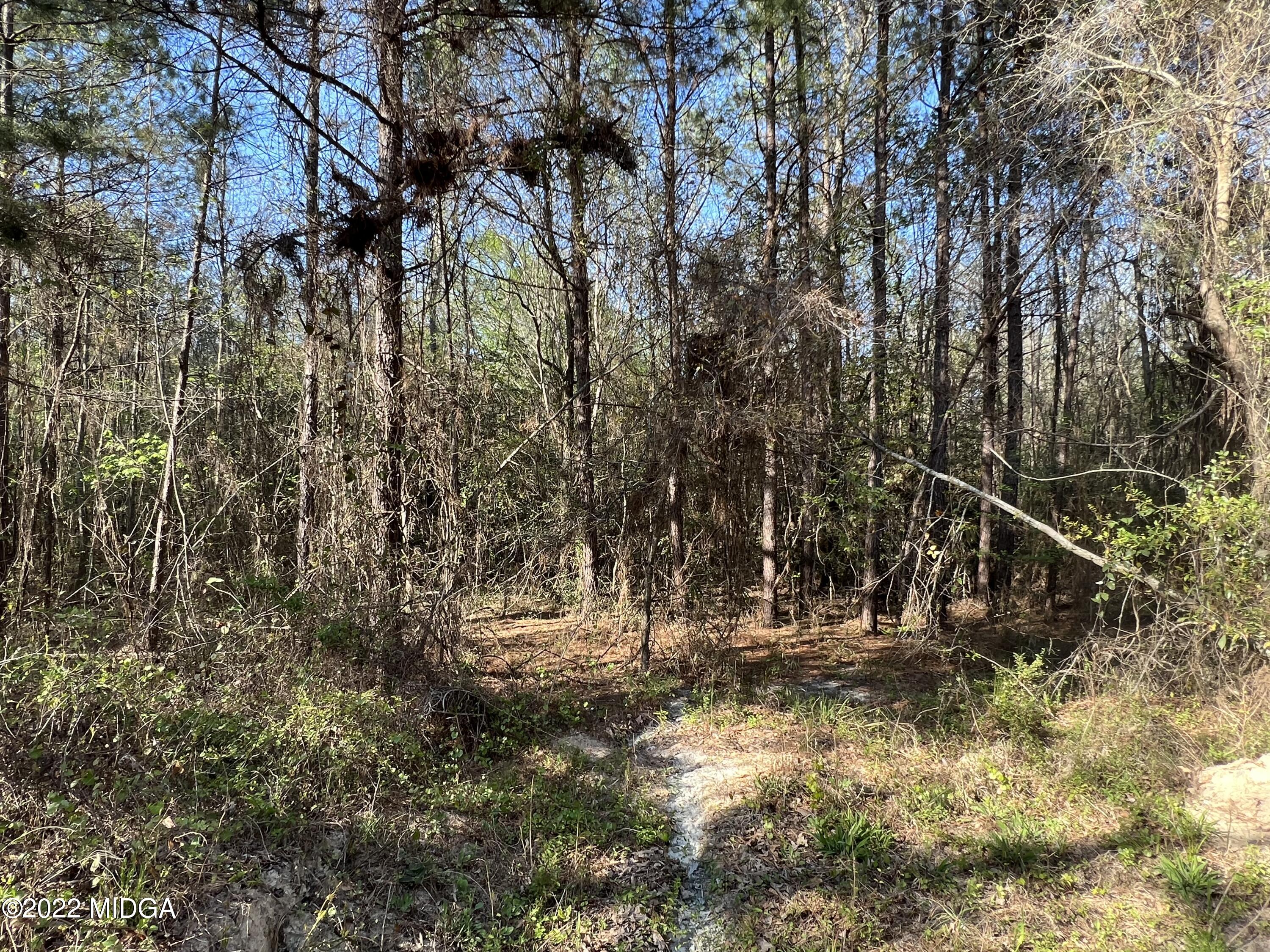 0 Ray Frost Road Lizella, GA 31052 - Photo 3 of 9 DE701AFE-6800-4B1D-9AE6-6C2D0D4B2D8A