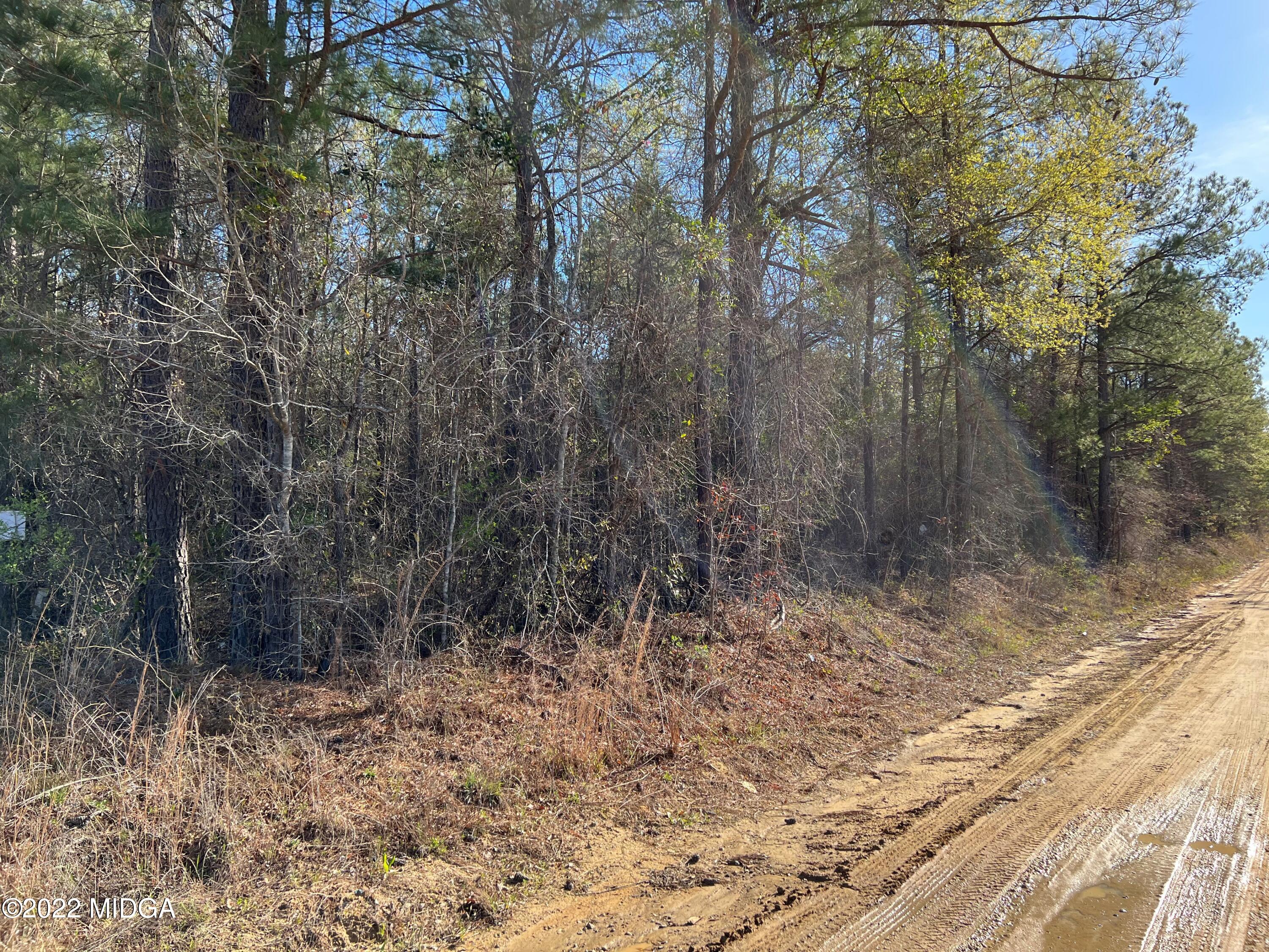 0 Ray Frost Road Lizella, GA 31052 - Photo 4 of 9 2