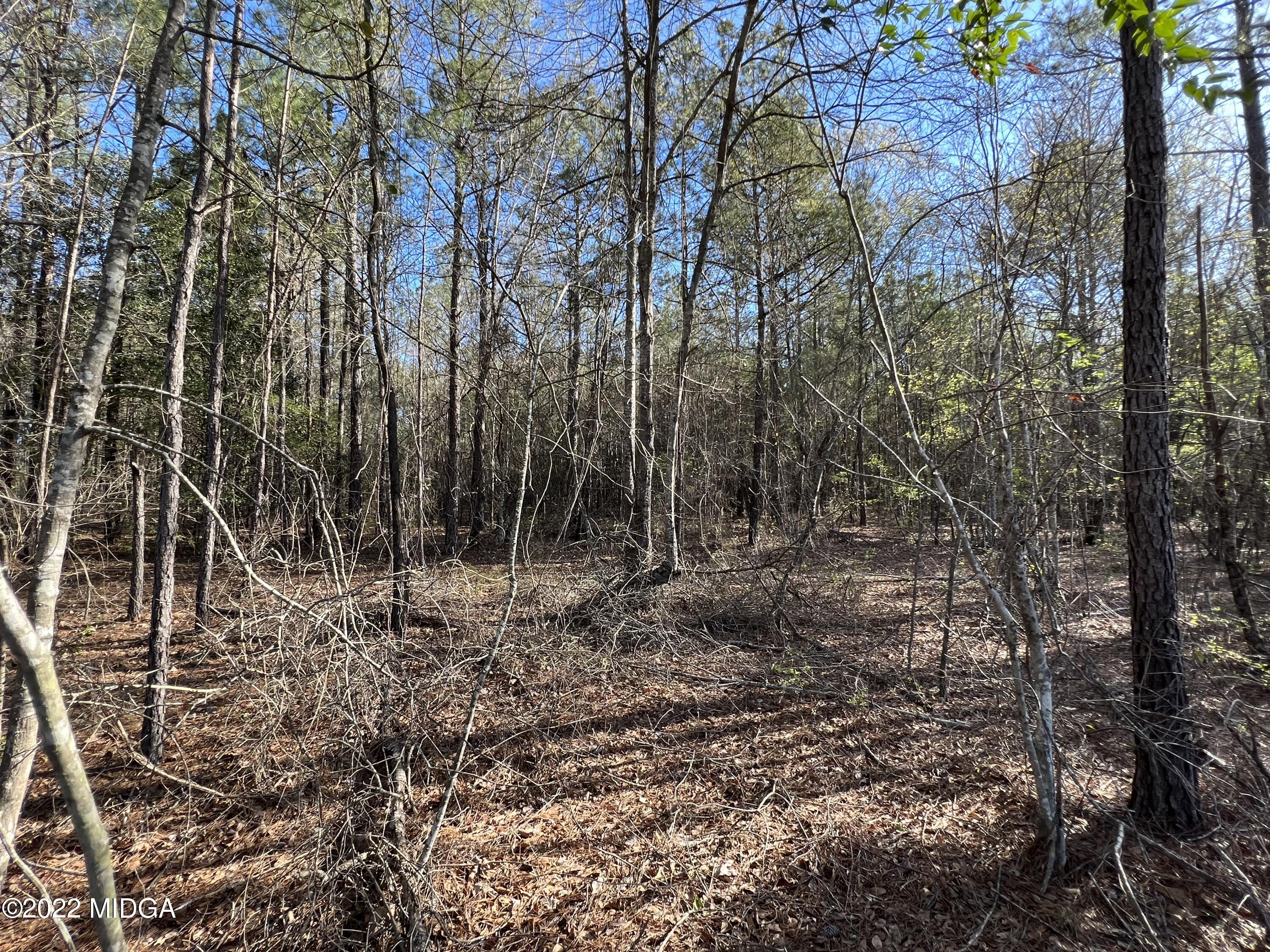 0 Ray Frost Road Lizella, GA 31052 - Photo 5 of 9 1F865345-0F47-4B12-BBC9-9914BD686903