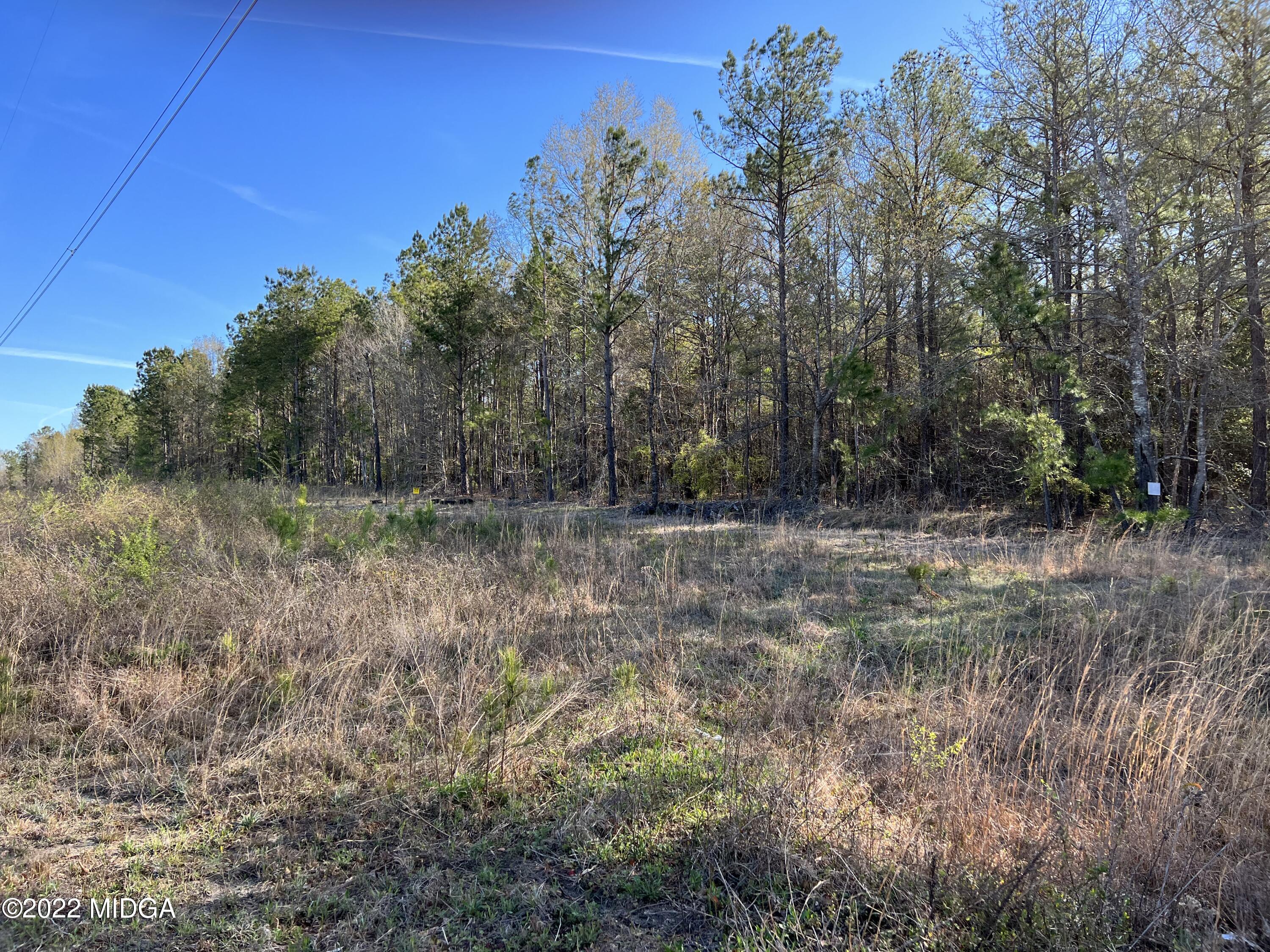 0 Ray Frost Road Lizella, GA 31052 - Photo 6 of 9 09C4CD5B-A1A4-4AB6-9233-B2B226030B25