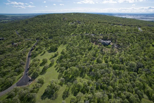 a view of a city with lush green forest