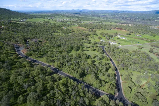 a view of a field with a lush green forest