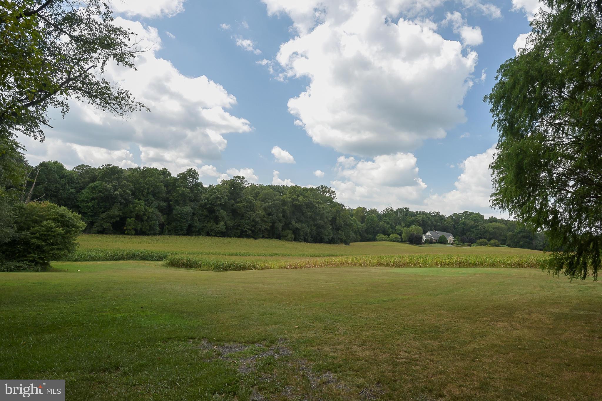 2180 Duvall Road Woodbine, MD 21797 - Photo 28 of 30 Exterior (Rear)