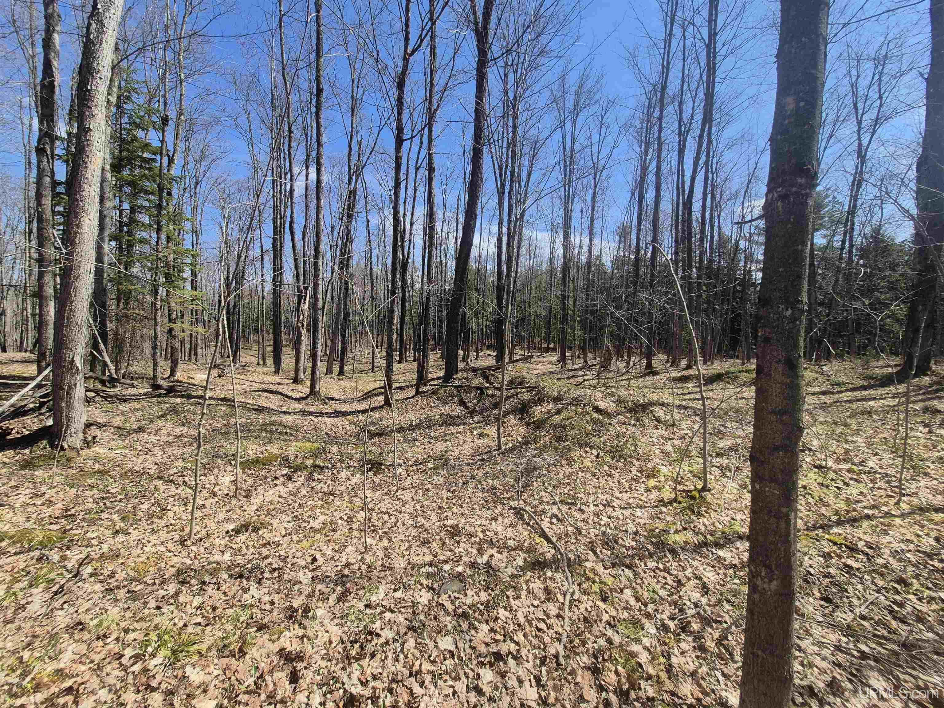12-acres Salmon Road L'Anse, MI 49946 - Photo 35 of 39