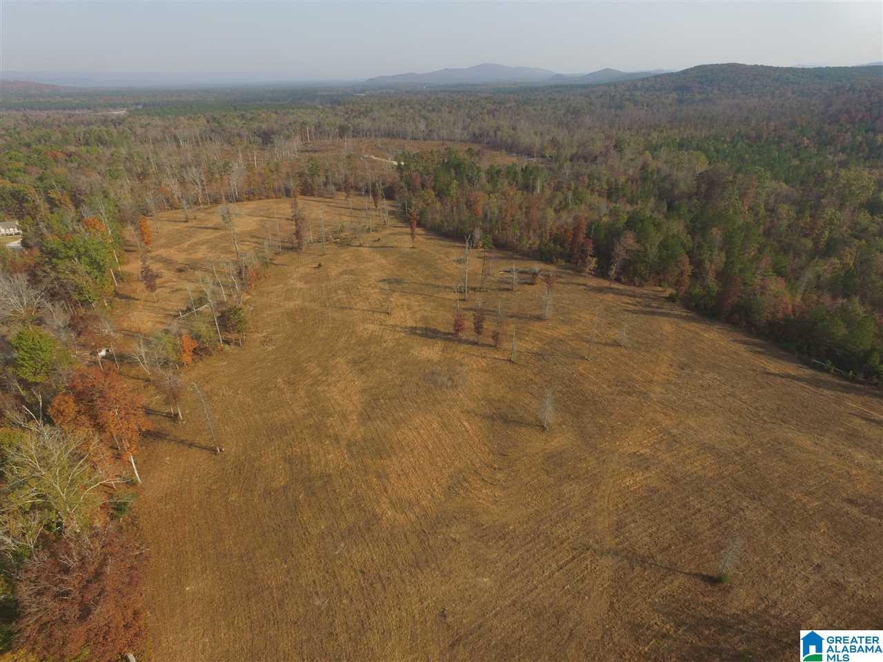 0 Wooden Trace Circle, Unit 30 Springville, AL 35146 - Photo 23 of 25