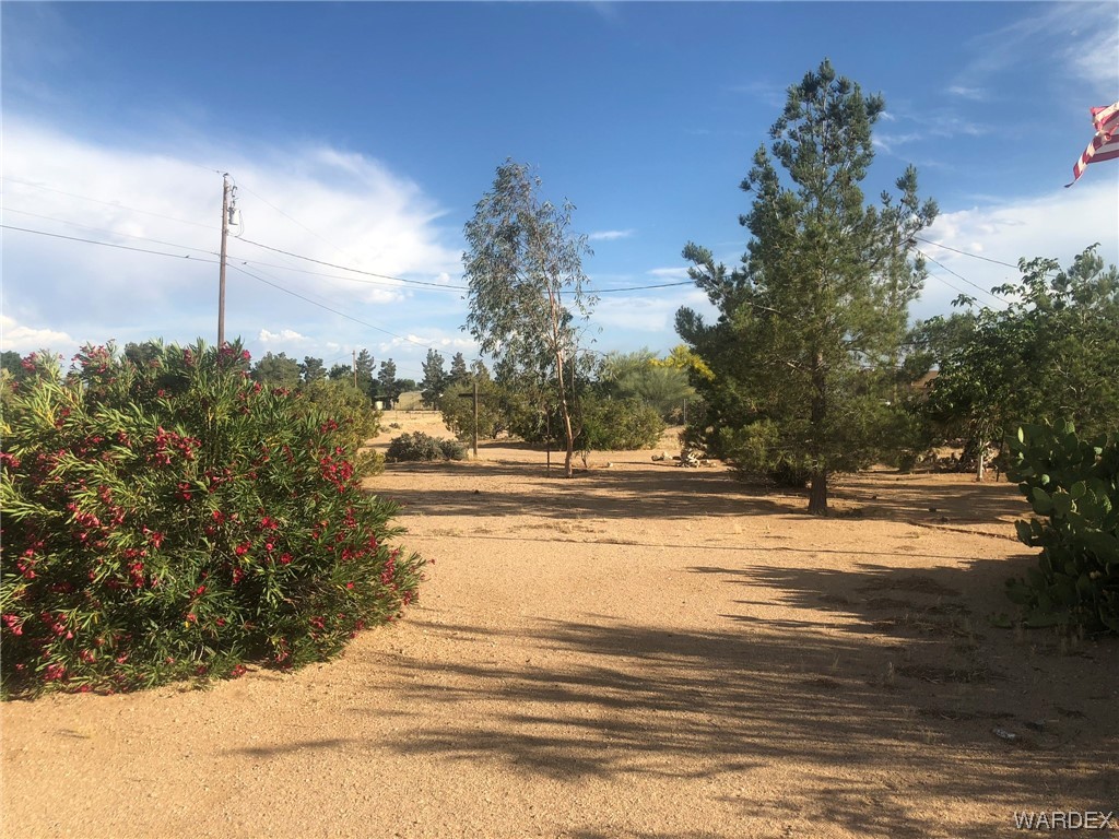 3617 Salt Road Golden Valley, AZ 86413 - Photo 17 of 22 a view of road with large trees