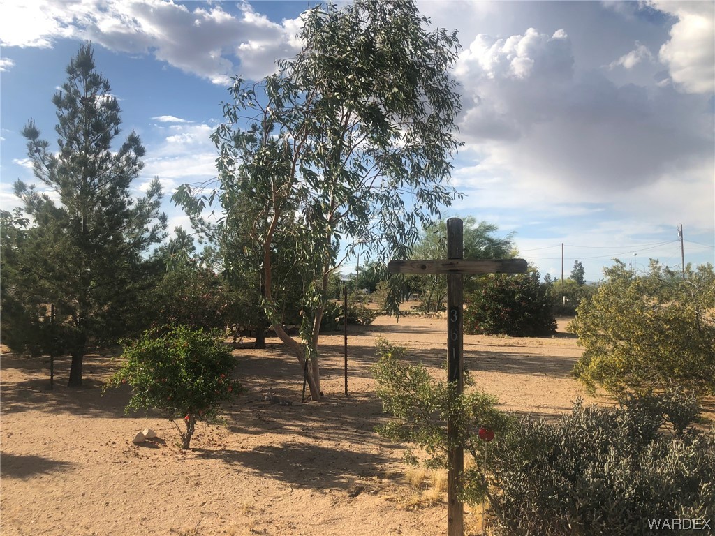 3617 Salt Road Golden Valley, AZ 86413 - Photo 18 of 22 a view of a park with trees