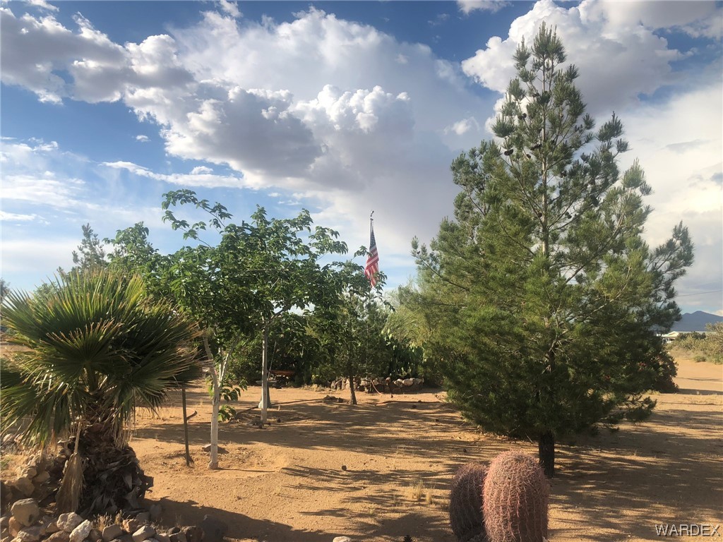3617 Salt Road Golden Valley, AZ 86413 - Photo 20 of 22 a view of a yard with plants and trees