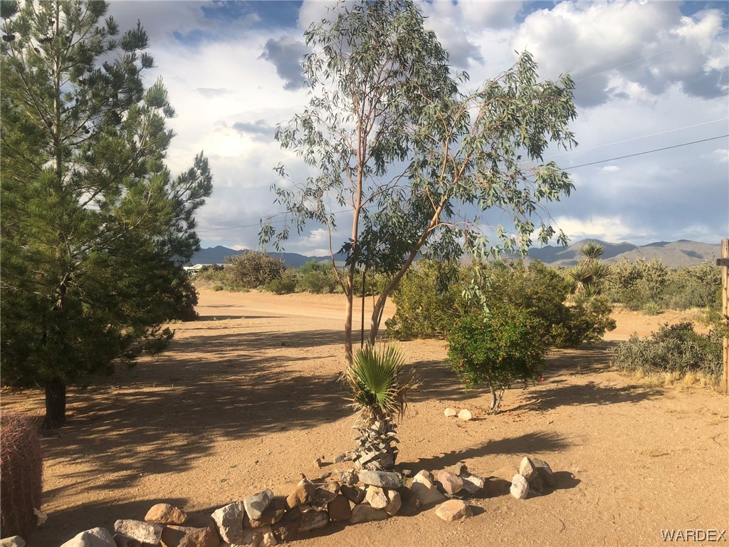 3617 Salt Road Golden Valley, AZ 86413 - Photo 21 of 22 a view of a yard with a tree